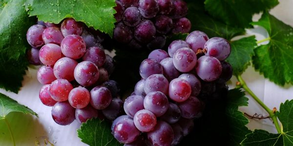co zrobić z winogron